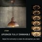 Tememdy LED Edison Bulb,Antique 4W Vintage Edison Bulb,E26/E27 ST58 Dimmable ...