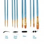Heartybay 10Pieces Round Pointed Tip Nylon Hair Brush Set, Blue 1pack