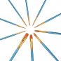 Heartybay 10Pieces Round Pointed Tip Nylon Hair Brush Set, Blue 1pack