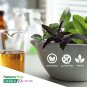 NaturesPlus Herbal Actives St John's Wort, Extended Release - 450 mg, 60 Vega...