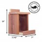 Pennington 100509197 Cedar Squirrel Snacker Feeder, 2.75 LB Capacity