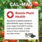 Bloom City Professional Grade Ultra Pure Cal-Mag Growing Supplement Quart (32...