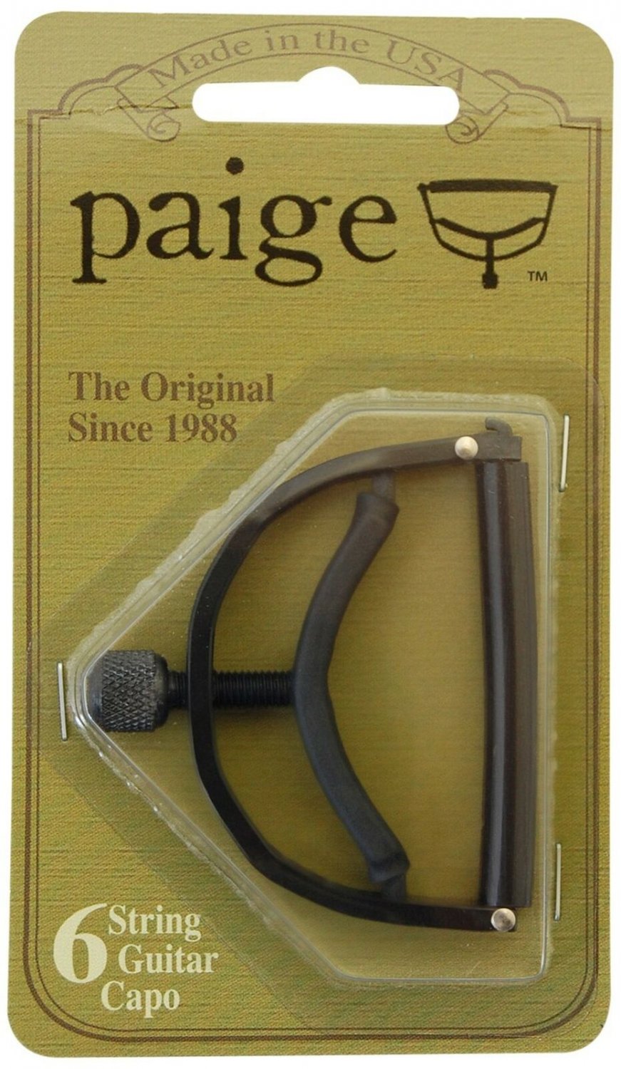 Paige Acoustic Guitar Bridge Pins (P6E) Black