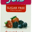Jols Sugar Free Pastilles, Forest Berry, 0.88-Ounce Boxes (Pack of 12)