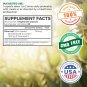 Olive Leaf Extract (Non-GMO) Super Strength: 20% Oleuropein - 750mg - Vegetar...