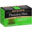 Bigelow Plantation Mint Black Tea Bags 20-Count Boxes (Pack of 6), 120 Tea Ba...