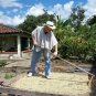2LB Pablo's Pride Gourmet Coffee - Guatemala - Medium-Dark Roast Whole Bean C...