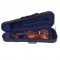 Aileen Basic Professional Triangular Lightweight Suspension Carry Violin Hard...