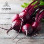 Organic Beet Root Powder (2 lbs), Raw & Non-GMO (2 Pack of 1 Pound Each) | Ni...