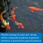 API Pond Testing Test Strips