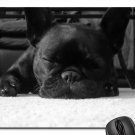 French Bulldog Mouse Pad, Mousepad (Dogs Mouse Pad)