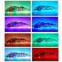 SPARKE LED TV Lights 3meter 9.9 feet USB LED Strip Lights Kit SMD3528 RGB TV ...