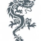 Tattoo Designs and Care