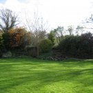 Create The Perfect Lawn