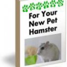 Caring for your Pet Hamster