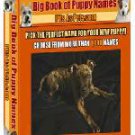 The Big Book of Puppy Names