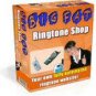 Your Own Easy to Run Ringtone Website