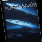 Traffic barracuda