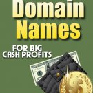 Domain Flipping Guide