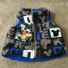 Mickey Mouse Baby Infant Fleece Lined Zip Up Vest Sz 12M MultiColor OuterWear Mickey Mouse Baby Infant Fleece Lined Zip Up Vest Sz 12M MultiColor OuterWear