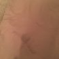 Ann Taylor Loft Women's Capri Pants Side Slits Size 6 Khaki