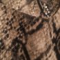 RVT Women's Snake Skin Pattern Pants Choose Your Size