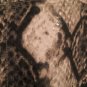 RVT Women's Snake Skin Pattern Pants Choose Your Size