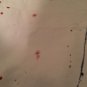 Chrome Edge 24 Men's Paint Splatter Jean Shorts White Choose Your Size