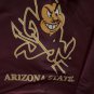 Arizona State University Sun Devils Fold Open Stadium Seat