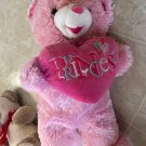 Super Cute Pink DanDee Stuffed Teddy Bear with Princess Heart 2014 19" Sweet