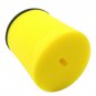 AIR FILTER CLEANER Fits SUZUKI LT-F250F QUADRUNNER 250 4X4 1998-2002