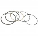 PISTON RING KIT FITS Polaris 2202920