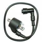 IGNITION COIL FITS POLARIS 3083923
