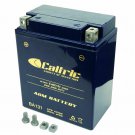 AGM BATTERY Fits YAMAHA BREEZE 125 YFA1 1989 1991-2004