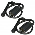 2 IGNITION COIL FITS Suzuki VS800GL VS800 GL BOULEVARD S50 2005 2006 2007-2009