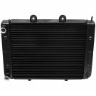 RADIATOR Fits POLARIS 1240190, 1240301, 1240521