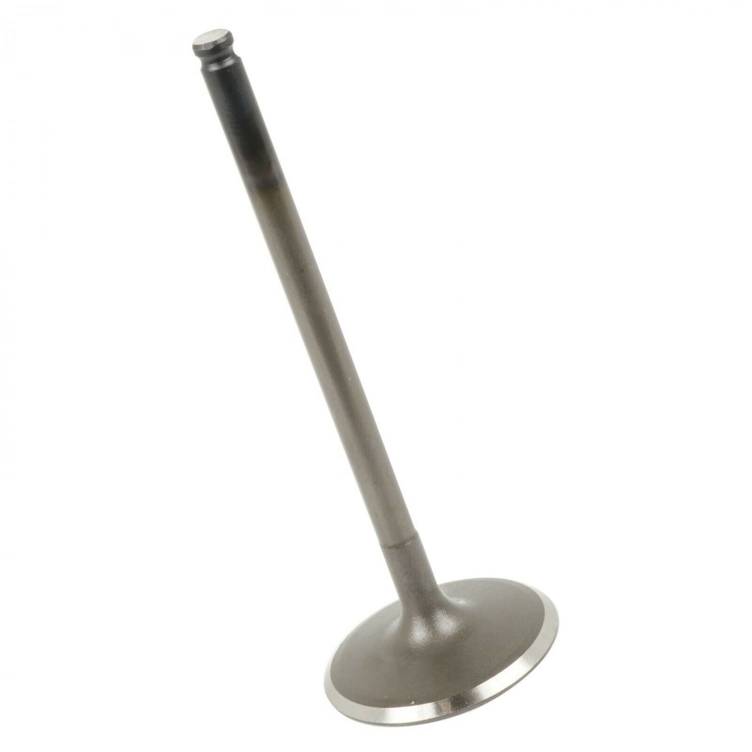 INTAKE VALVE Fits POLARIS 3022414