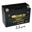 AGM BATTERY Fits YAMAHA R6S YZF-R6S YZFR6S CHAMPIONS LIMITED EDITION 2001