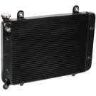 RADIATOR Fits POLARIS 1240211, 1240286