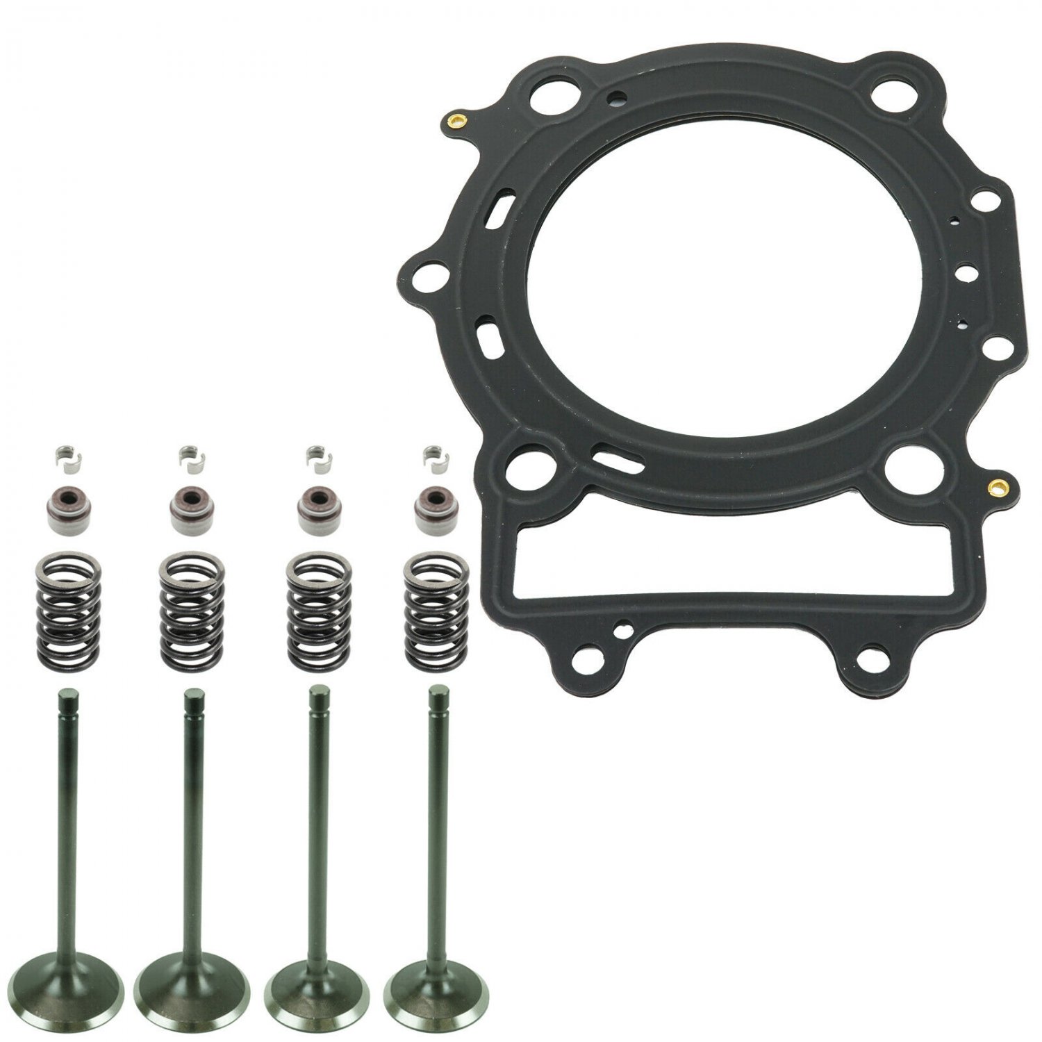 CYLINDER HEAD INTAKE EXHAUST VALVE KIT Fits ARCTIC CAT 550s 4x4 H1 EFI 2010-2011