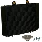 RADIATOR FITS POLARIS FARMHAND 450 2X4 2017 / HAWKEYE 325 2X4 2015