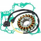 STATOR GASKET FOR Ski-Doo MXZ 600 SPORT ACE 2011-2018 / MXZ 600 TNT ACE 2011-12