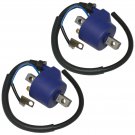 2 IGNITION COILS FIT HYOSUNG COMET FULL FAIRING GT125R