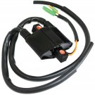 ARCTIC CAT FIRECAT 700 EFI  FIRECAT 700 EFI SNO PRO 2003 IGNITION COIL DOUBLE