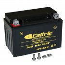 AGM BATTERY Fits SUZUKI GSX650F Katana 650 2008 2009 2012