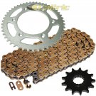 Golden O-Ring Drive Chain & Sprocket Kit Fits BETA 430RR 430RS 450RR 480RR 498RR