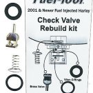 Fuel Tool MC300 Fuel Tool EFI Check Valve Rebuild Kit