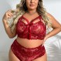 Plus Size Lacy Romance Bra Set