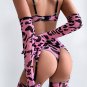 Roaring Sexy Mesh Bra Set