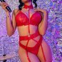 Grand Amour Mesh Garter 4 Piece Set